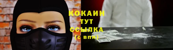 тгк Зеленокумск