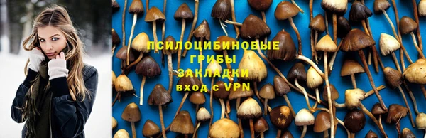 тгк Зеленокумск