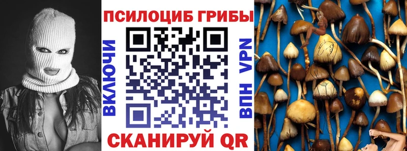 наркошоп  Моршанск  Псилоцибиновые грибы мицелий 